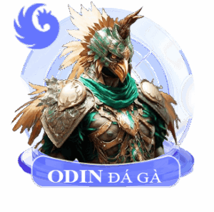 da ga odin